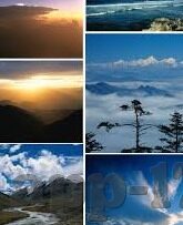 91free pron videos麻豆-91free Pron Videos与麻豆——网络内容慎选，保护个人健康与安全