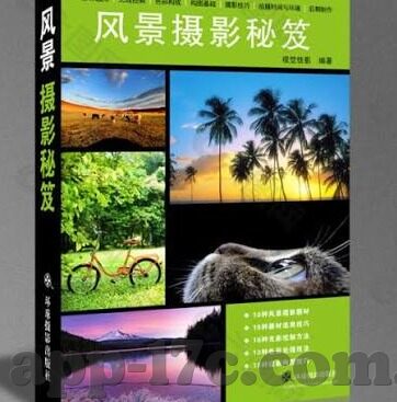 91麻豆精品人妻-意外的视界，互联网世界里的91麻豆人妻误解与现实审视