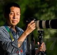 影音先锋中文字幕电影-影音先锋，中文字幕电影的魅力探索